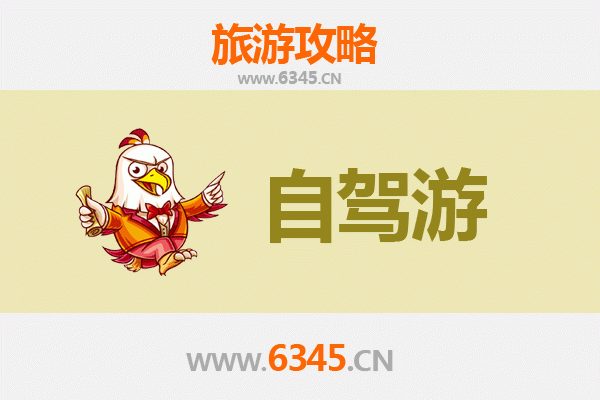 乐东国营尖峰岭林业公司自驾游攻略：探秘热带雨林奇观与生态之旅