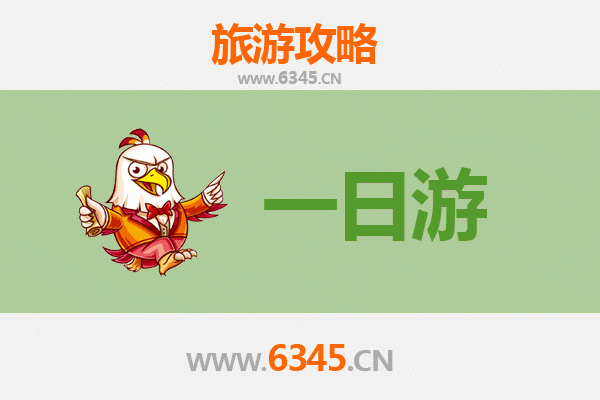 乐东国营尖峰岭林业公司一日游攻略：雨林探险与生态体验全指南