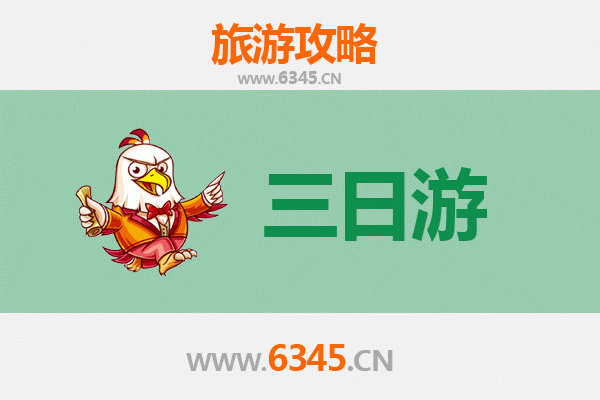 乐东国营尖峰岭林业公司三日游攻略：雨林探险与黎族文化深度体验