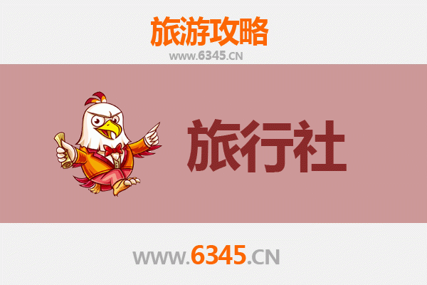 乐东尖峰岭林业公司本地旅行社深度攻略