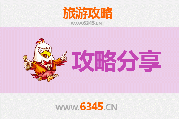 乐东尖峰岭林业公司本地人私藏旅游攻略