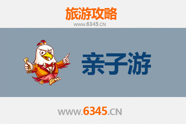 乐东国营尖峰岭林业公司亲子游攻略：探秘热带雨林，共享自然乐趣
