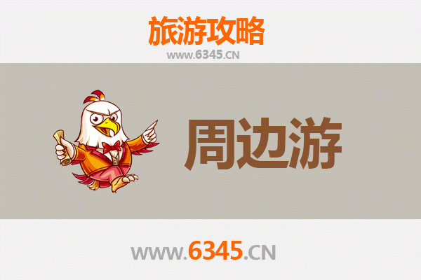 乐东尖峰岭林业公司周边深度游攻略：雨林探险与黎族文化体验
