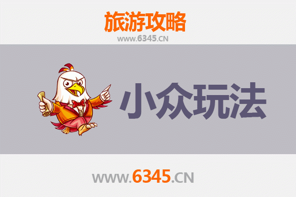 乐东尖峰岭林业公司深度游：解锁雨林秘境与黎族文化的小众玩法