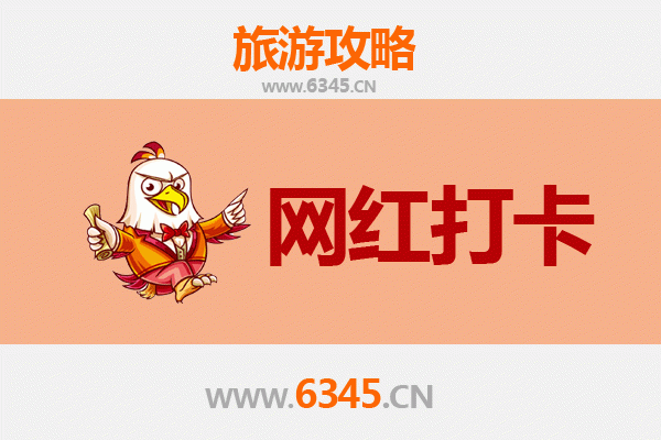 乐东尖峰岭林业公司：热带雨林深处的网红打卡秘境